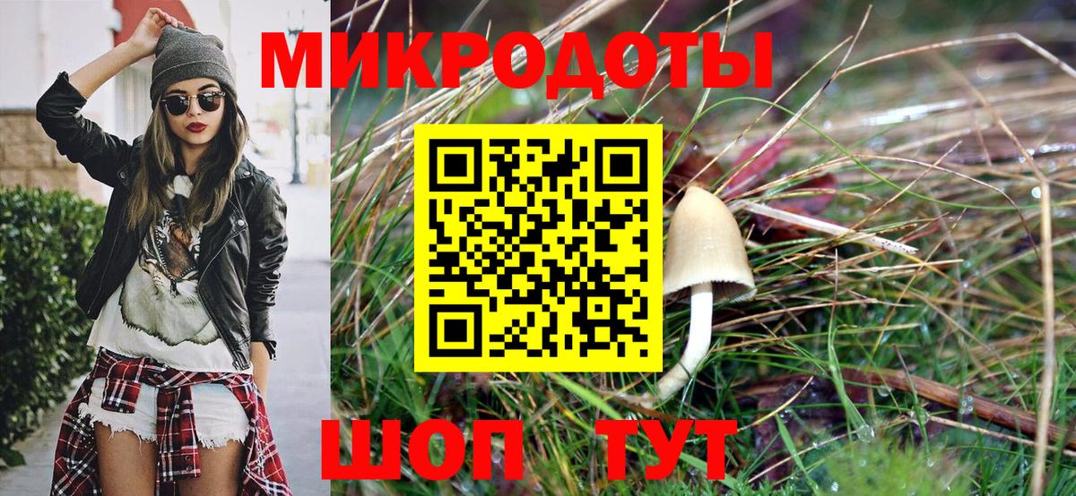 Северск  Псилоцибиновые грибы MAGIC MUSHROOMS  Вход с VPN  Псилоцибиновые грибы GOLDEN TEACHER 